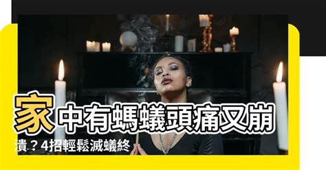 家中有螞蟻如何處理|家裡有螞蟻怎麼辦？專家告訴你5招如何消滅螞蟻大軍。